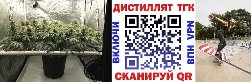 блэк спрут   Артём  ТГК гашишное масло  дарнет шоп 